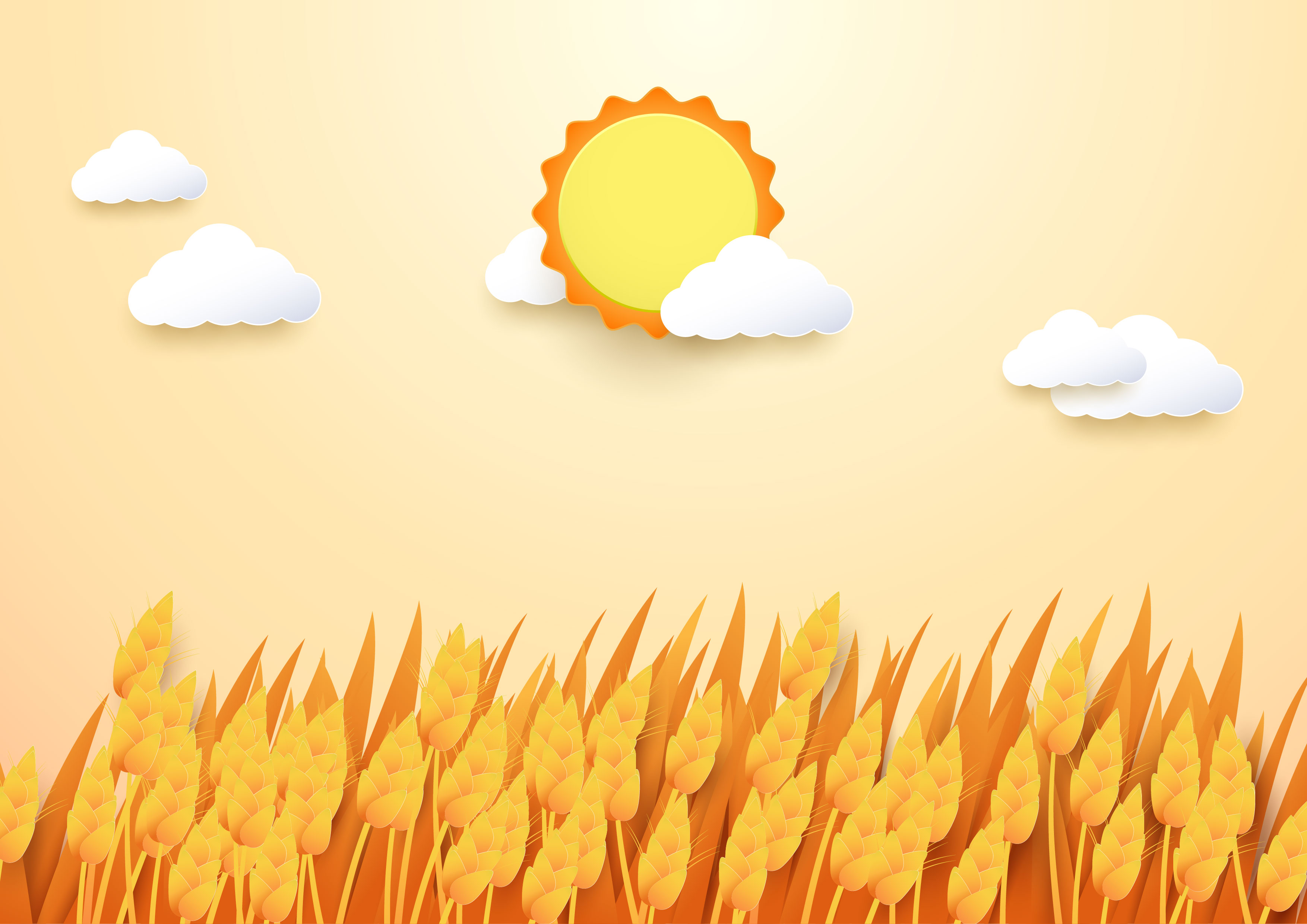 Zonnebrand: liever voorkomen...